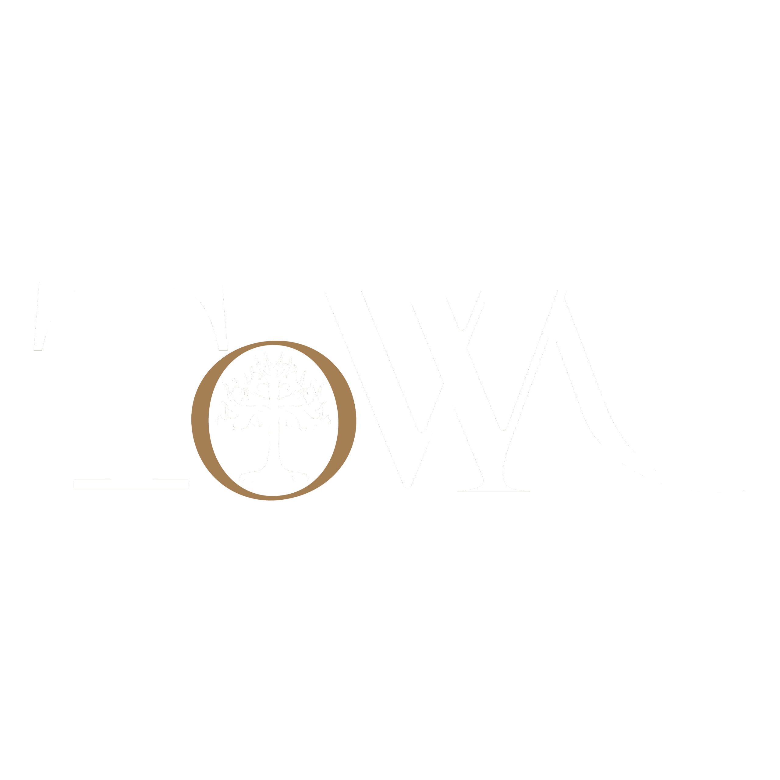 TOWA
